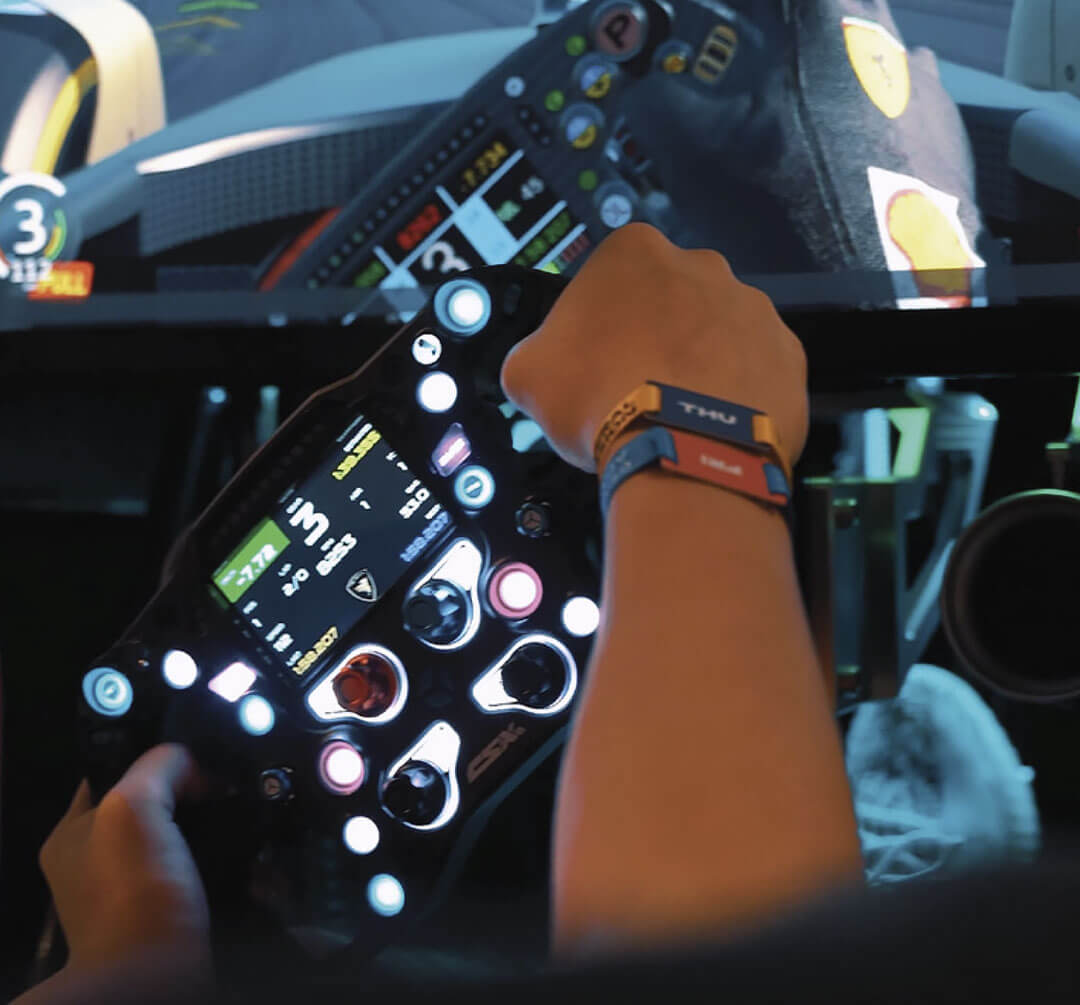 Car racing simulators in Marbella